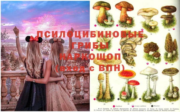 гидропоника Ахтубинск