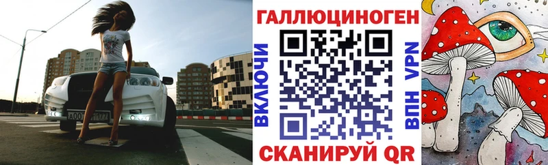 Галлюциногенные грибы Psilocybine cubensis  OMG зеркало  Голицыно 