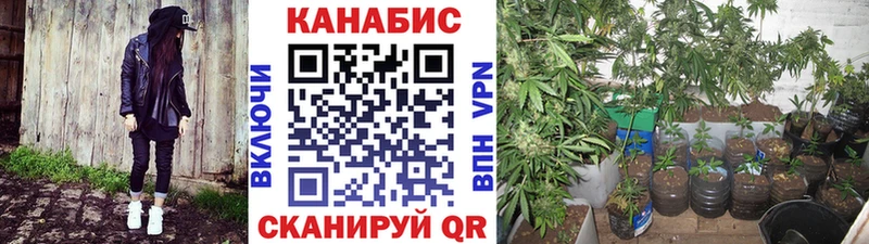Шишки марихуана Ganja Голицыно
